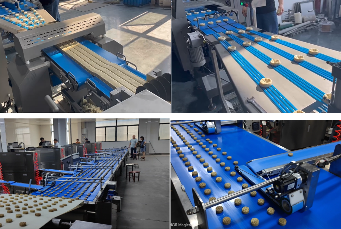 Maamoul Production Line