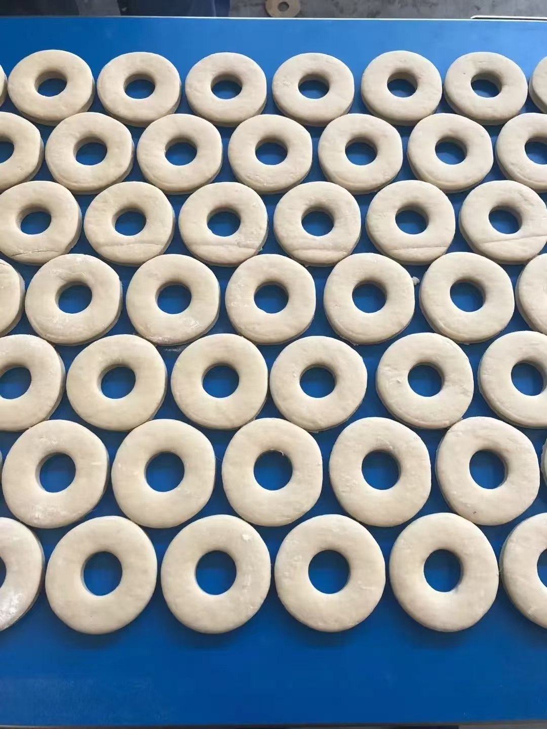 Donut / Croissant laminating machine