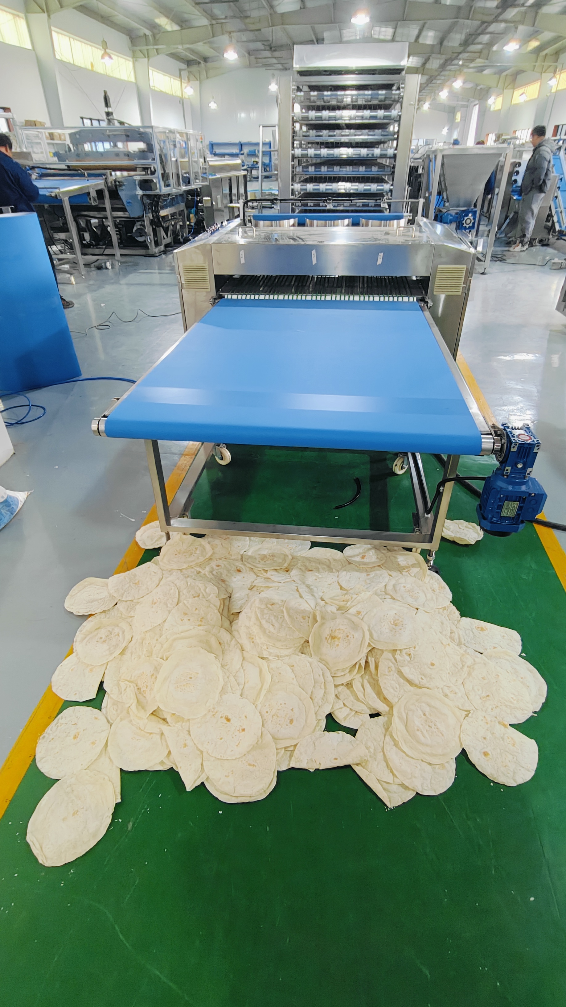 Tortilla Production Line Cost