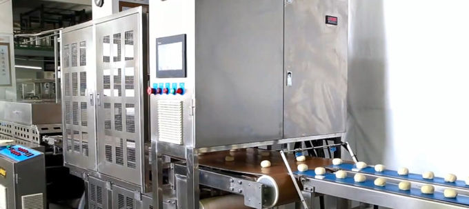 China Tortilla processing equipment